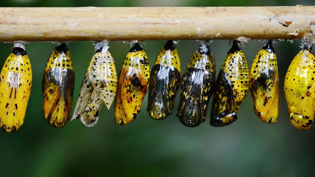 Why Are We Afraid of&nbsp;Change?