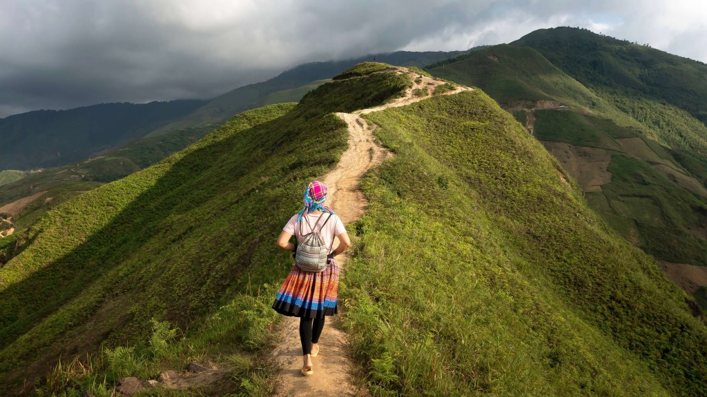 What’s the Alternative?