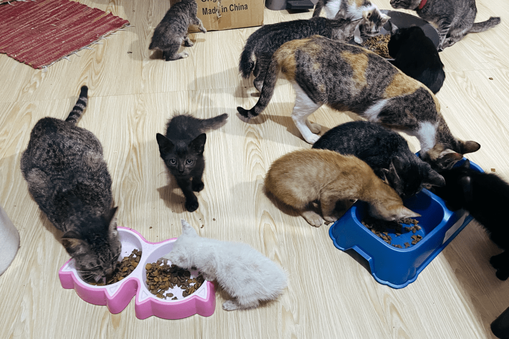 It Hurts to Write It (Part&nbsp;2)