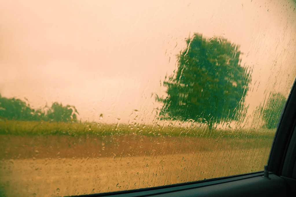 I Used to Love the&nbsp;Rain